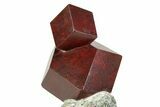 Twinned Maroon Almandine Garnets in Schist - Italy #352087-2